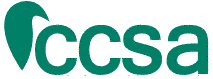 CCSA Consultoría